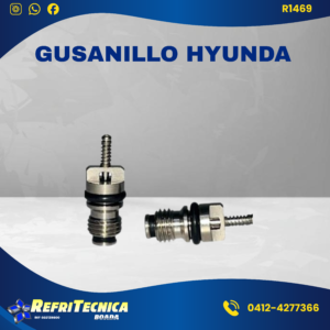 Gusanillo Hyunda